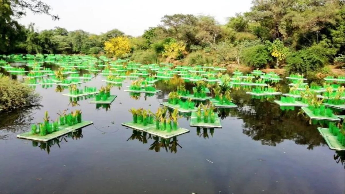 DDA News: दिल्ली की इस प्रसिद्ध झील में बनने जा रहा पहला तैरने वाला सौर ऊर्जा संयंत्र, 50 पार्कों में होगी बिजली सप्लाई, जानें अन्य डिटेल