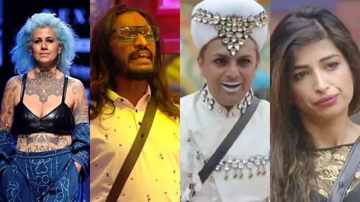 Bigg Boss controversial contestants who fought even with Salman Khan, Instagram