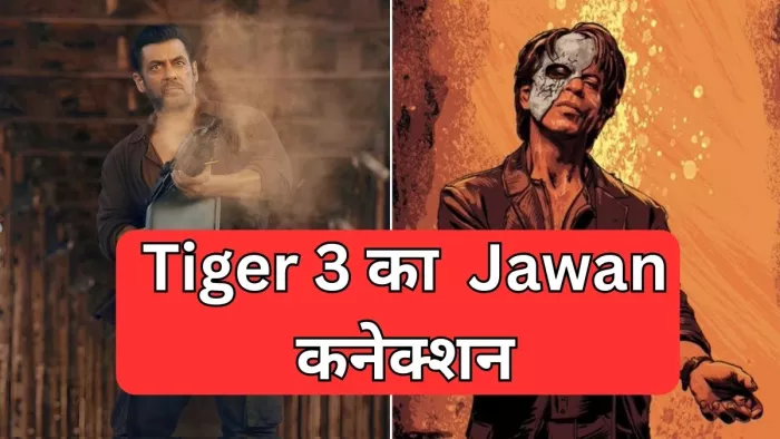 जवान से निकला 'टाइगर 3' का ये स्पेशल कनेक्शन (Photo Credit-Jagran)