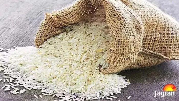 Punjab News: बासमती के दाम कम मिलने से किसान मायूस।