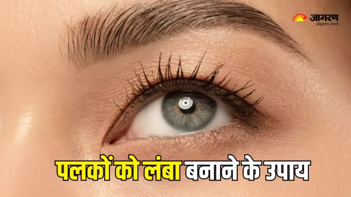 Long Lashes पाने के लिए अपनाएं ये तरीके (Picture Courtesy: Freepik)