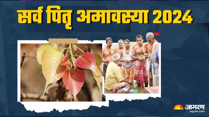 Sarva Pitru Amavasya 2024 सर्वपितृ अमावस्या पर लगाएं ये पौधे