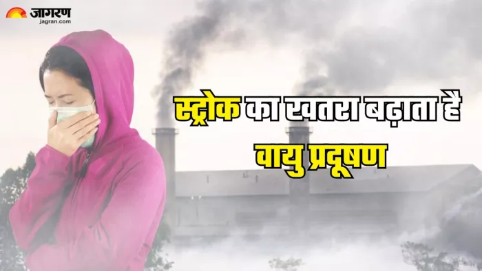 स्ट्रोक का खतरा बढ़ाता है वायु प्रदूषण (Picture Credit- Freepik)