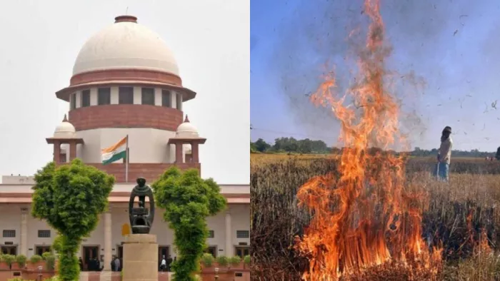 सुप्रीम कोर्ट ने पंजाब-हरियाणा में पराली जलाने को रोकने के लिए सीएक्यूएम द्वारा उठाए गए कदमों पर की सुनवाई।