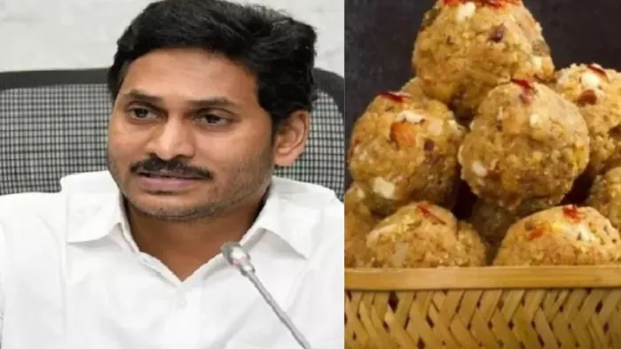 लड्डू विवाद के बीच पूर्व CM जगनमोहन रेड्डी की मंदिर यात्रा रद्द (फाइल फोटो)