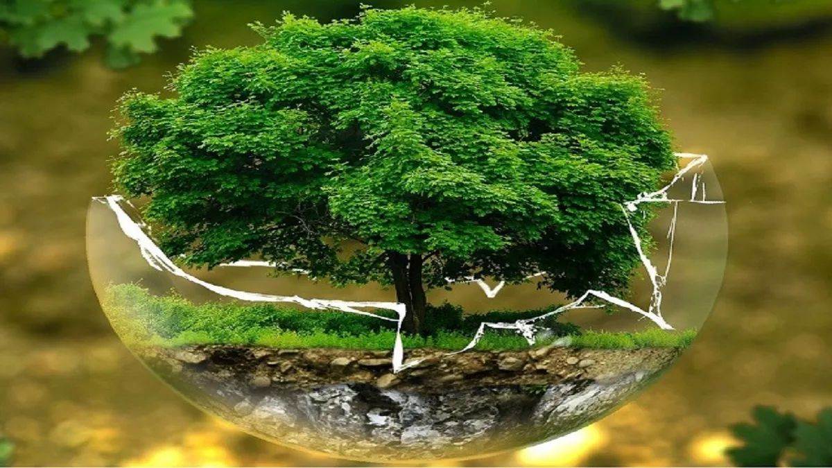 https://www.jagranimages.com/images/newimg/27092025/27_09_2025-ballia_news_24062359.jpg