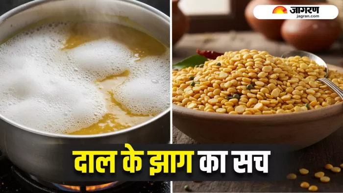क्या दाल का झाग सच में नुकसानदायक है? जानें एक्सपर्ट की राय (Image Source: AI-Generated)