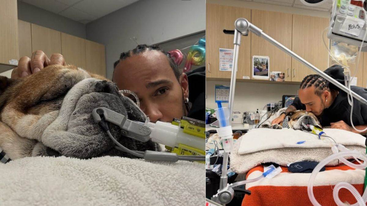 lewis hamilton skipped tyre test as dog roscoe clings to life in coma george russell