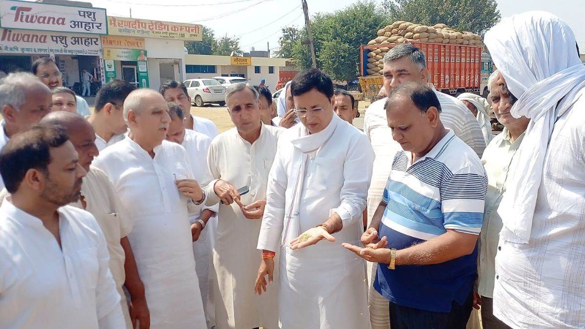 https://www.jagranimages.com/images/newimg/27092025/27_09_2025-surjewala_1_24062302.jpg
