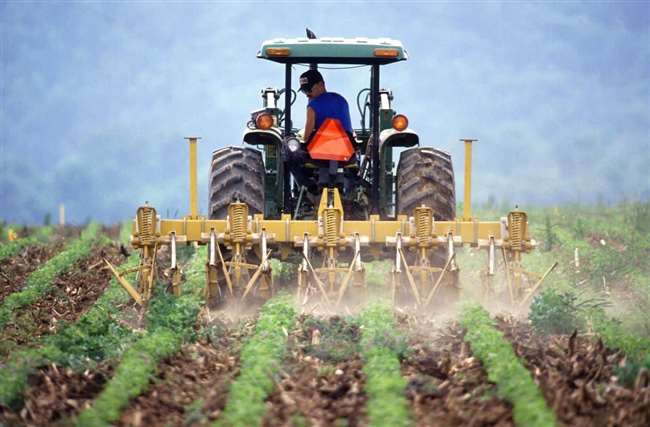 Sonbhadra जिले में खेती का रकबा बढ़ाकर दलहनी फसलों की बढ़ाएंगे ...