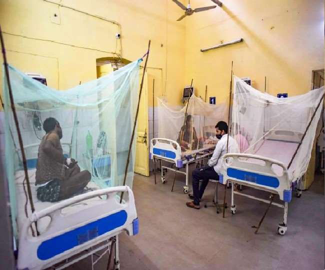 dengue in amroha woman dies of dengue in amroha 13 new dengue patients found in district