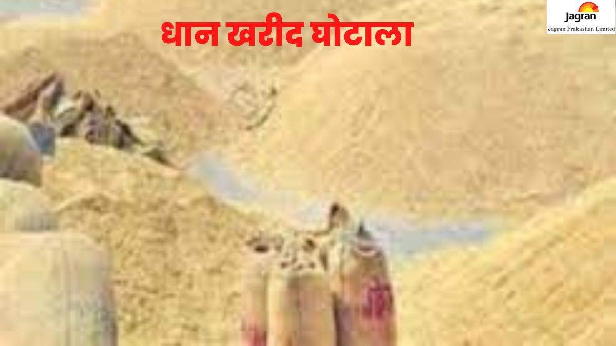 recovered from center in charge in paddy purchase scam in bhadohi 630 tonnes of government paddy sold to trader
