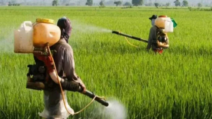 Govt restricts use of Glyphosate in agriculture due to safety concerns