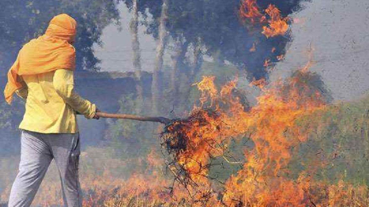 stubble burnt at 57 places in jalandhar city
