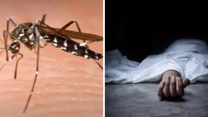 Dengue Cases In Bareilly: भोजीपुरा के पिपरिया गांव में डेंगू संदिग्ध किशोरी की मौत
