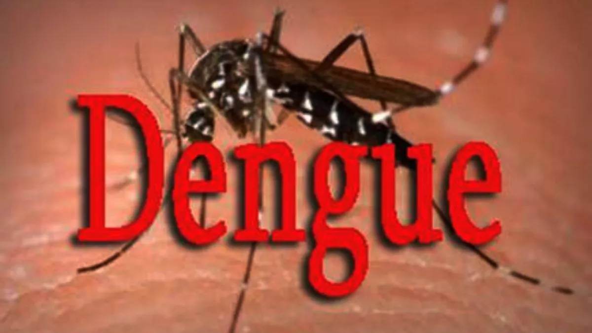 https://www.jagranimages.com/images/newimg/27102023/27_10_2023-dengue_in_moradabad_23566556.jpg