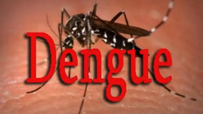 Dengue In Moradabad: डेंगू की चपेट में आ चुके मरीज को दोबारा लग रहा डंक