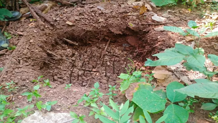 जंगल में नक्सलियों द्वारा गड्ढा बनाकर बिछाए गए स्पाइक।