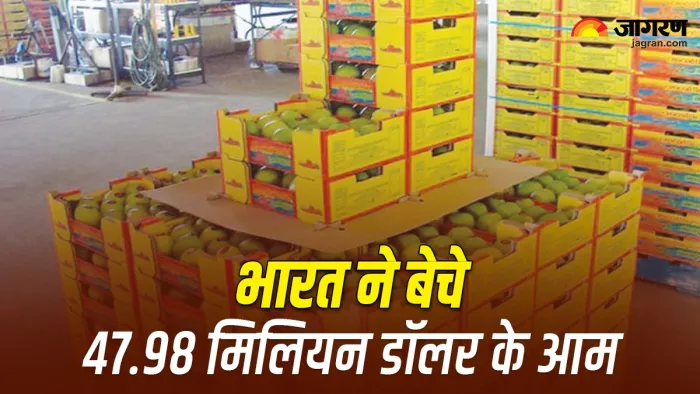 वित्त वर्ष 24 के पहले पांच महीने में भारत ने 27,330.02 टन आम बेचा