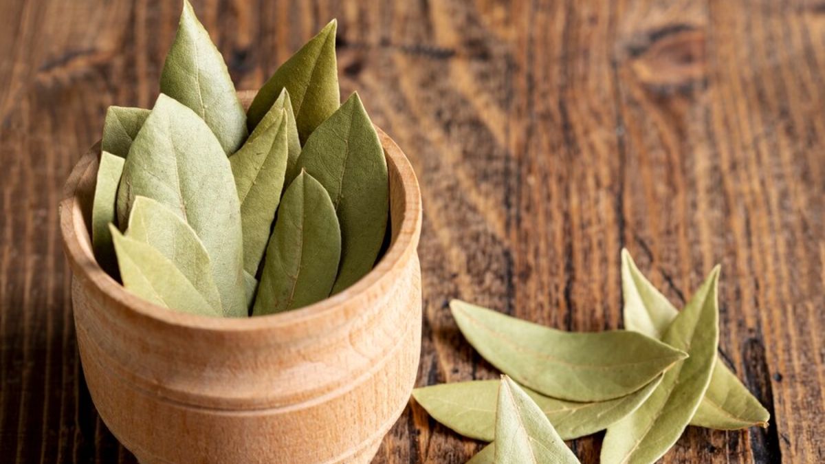 bay leaf benefits