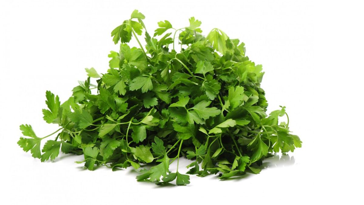 dhaniya patta benefits