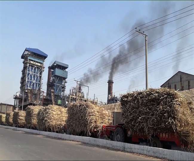 पेराई सत्र के 24 नवंबर को शुरू होने के बाद भी नहीं चल पाई किच्छा चीनी मिल - Kichha  sugar mill could not run even after the crushing season started on November  24