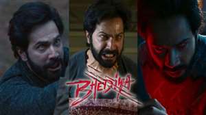Bhediya Box Office Collection Day 2, Varun Dhawan, Kriti Sanon