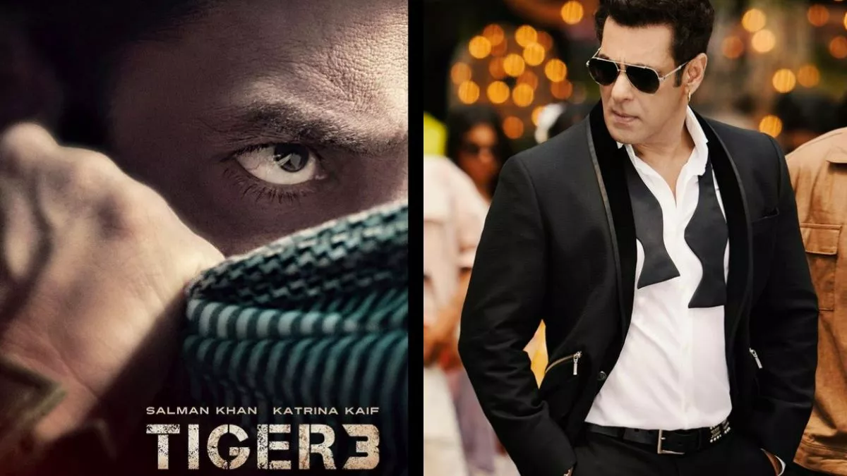 Tiger 3: सलमान खान 30 साल बाद इस एक्ट्रेस के साथ शेयर करेंगे स्क्रीन स्पेस, टाइगर 3 में दिखेगी यह जोड़ी