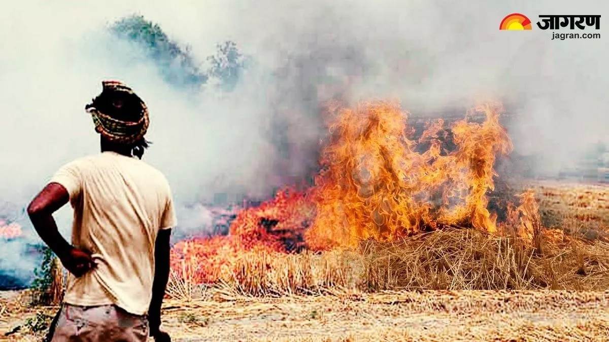 strictness in stubble burning cases is not showing any effect cases increased in these states including up