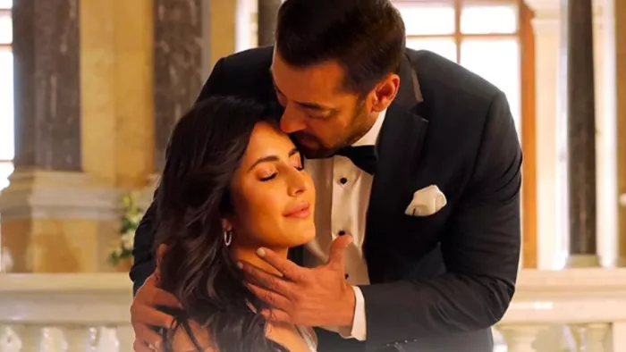 टाइगर 3 की 15वें दिन घरेलू बॉक्स ऑफिस पर बंपर कमाई / फोटो- Instagram