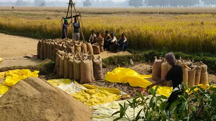 प्रस्तुति के लिए इस्तेमाल की गई तस्वीर