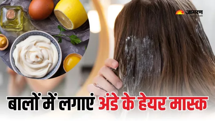 बालों के लिए वरदान है अंडा (Picture Courtesy: Freepik)