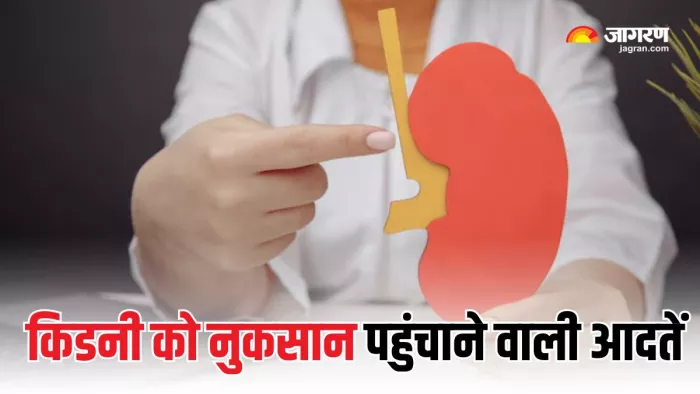 रोज की इन आदतों में नहीं किया सुधार, तो किडनी से हाथ धो बैठेंगे आप! (Picture Courtesy: Freepik)