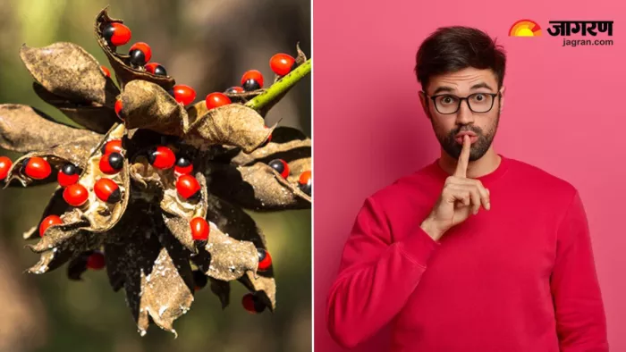 क्या आप जानते हैं 'रत्ती भर शर्म नहीं' वाले 'रत्ती' की दिलचस्प कहानी (Image Source: Freepik)