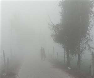 धनसौली के गांव धुंध की चादर, दिखना हुआ मुश्‍किल।