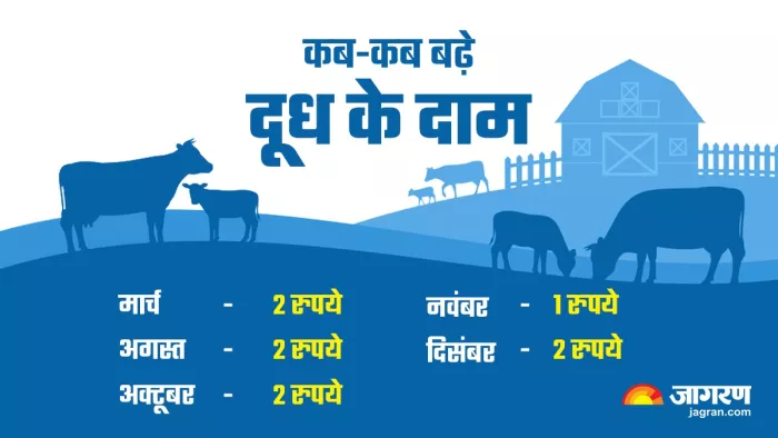 Mother Dairy amul hike price up to nine rupees in 2022 (Jagran File Photo)