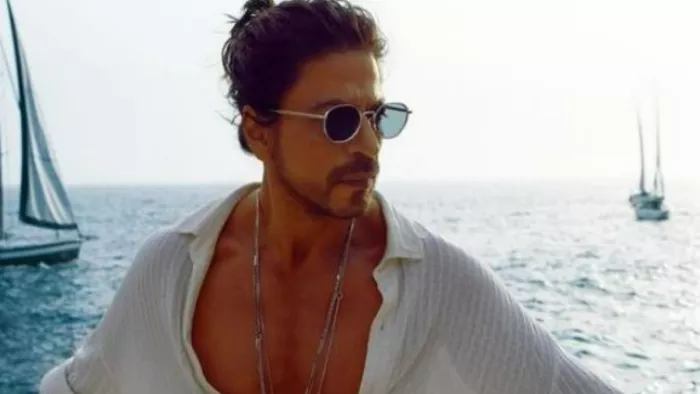 Pathaan: Shah Rukh Khan wants to work in a film like Leon: The Professional.