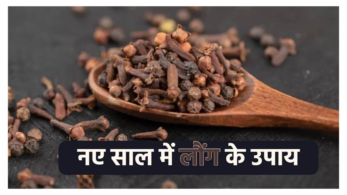 https://www.jagranimages.com/images/newimg/27122023/27_12_2023-cloves_tips_23615092.jpg