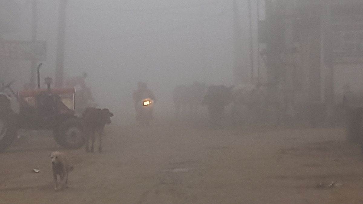 https://www.jagranimages.com/images/newimg/27122023/27_12_2023-fazilka_orange_alert_of_fog_23615036_18430529.jpg