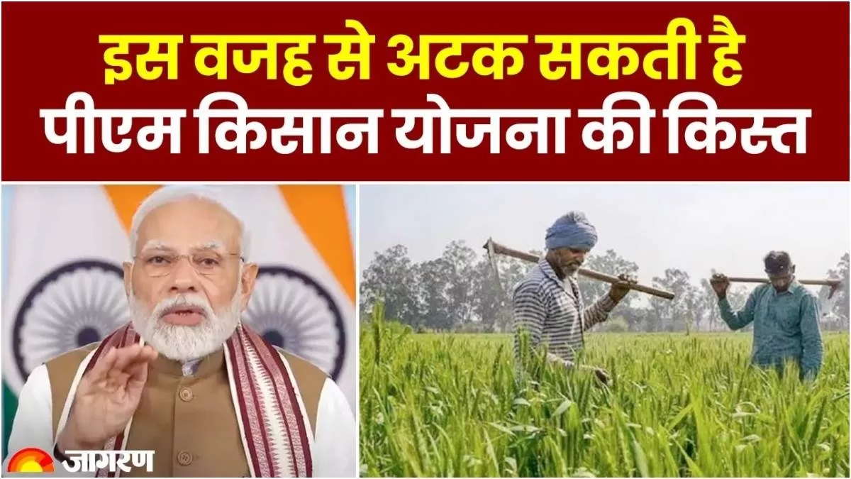 PM Kisan Yojana के लाभार्थियों के लिए बड़ा अपडेट! e-KYC के लिए सरकार ने नियुक्त किए ग्रामीण नोडल पदाधिकारी, तुरंत करवा लें ये काम