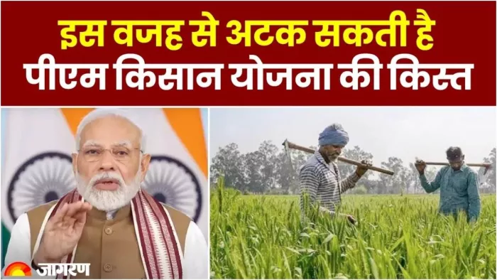 PM Kisan Yojana के लाभार्थियों के लिए बड़ा अपडेट! e-KYC के लिए सरकार ने नियुक्त किए ग्रामीण नोडल पदाधिकारी