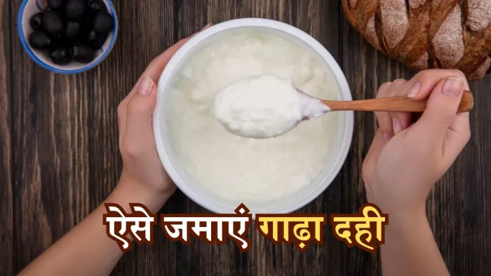 इन टिप्स की मदद से घर पर जमा पाएंगे, मार्केट जैसा गाढ़ा दही