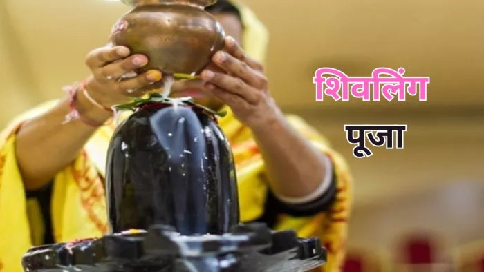 Shivling Puja: किस शिवलिंग की पूजा करने पर प्रसन्न होते हैं भगवान शंकर