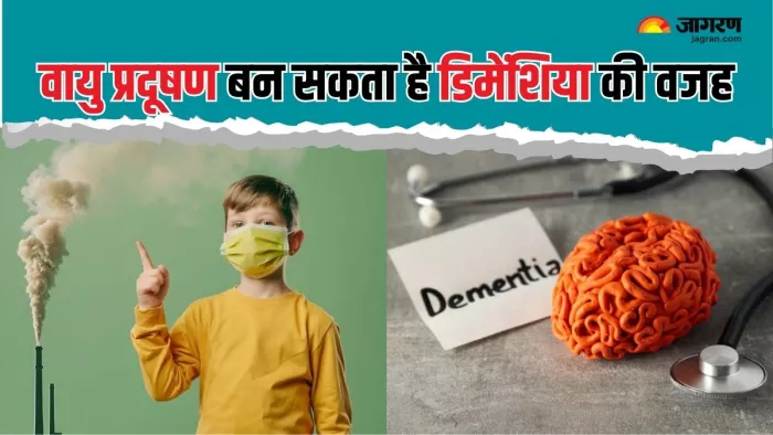 वायु प्रदूषण के कारण बढ़ जाता है डिमेंशिया का रिस्क (Picture Courtesy: Freepik)