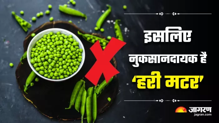 Peas Side Effects: स्वाद-स्वाद में खा रहे हैं ज्यादा मटर, तो जान लें इसके 5 नुकसान (Image Source: Freepik)