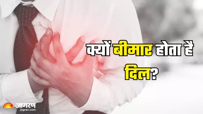क्यों होती हैं दिल से जुड़ी समस्याएं (Picture Credit- Freepik)