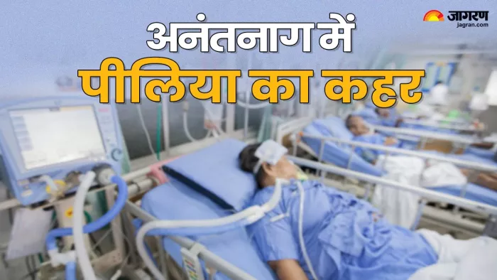 अनंतनाग में पीलिया से 17 लोग बीमार पड़ गए।