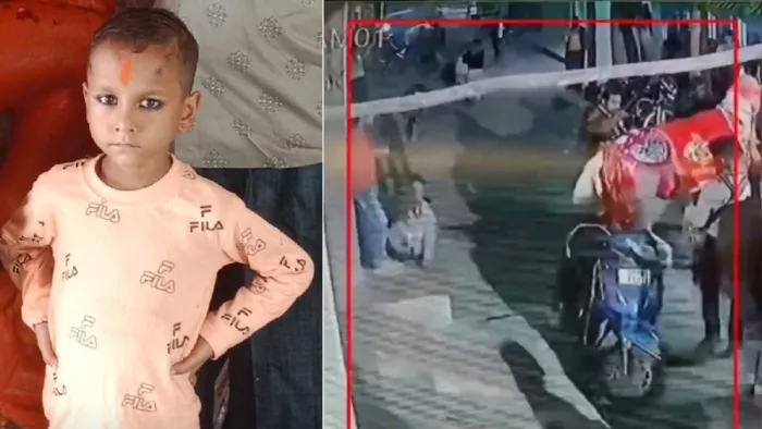 घोड़ी की लात लगने से बच्चे की मौत हो गई। (तस्वीर जागरण)