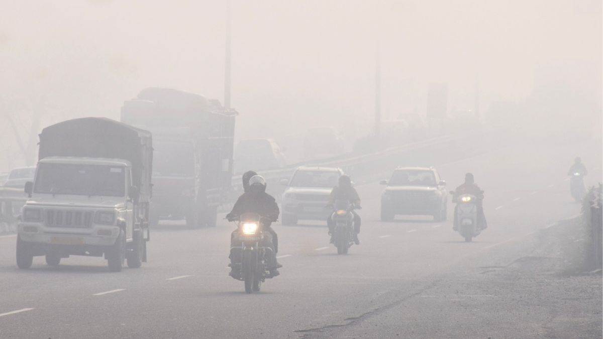 punjab weather update state shivers as cold wave intensifies cold wave alert in punjab