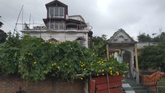 News Article Hero Image